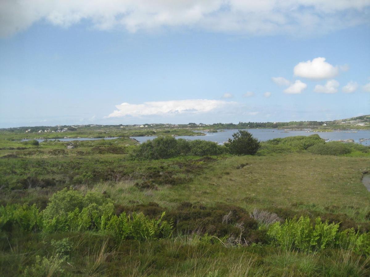 Lough Meela Dungloe