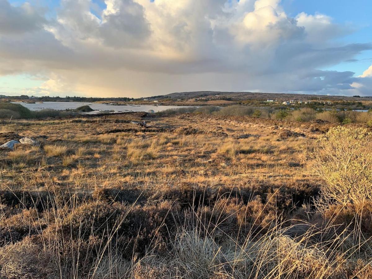 Lough Meela Holiday home